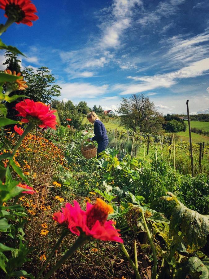 Landhaus Schaller Im Suedburgenland Maria Bild 外观 照片