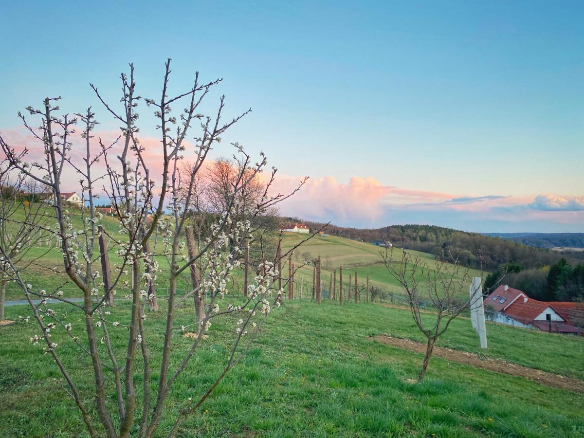 Landhaus Schaller Im Suedburgenland Maria Bild 外观 照片